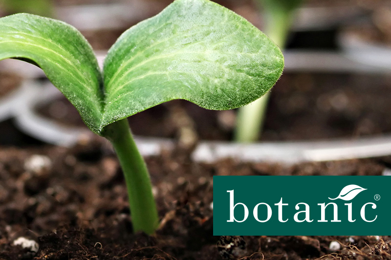 botanic site internet
